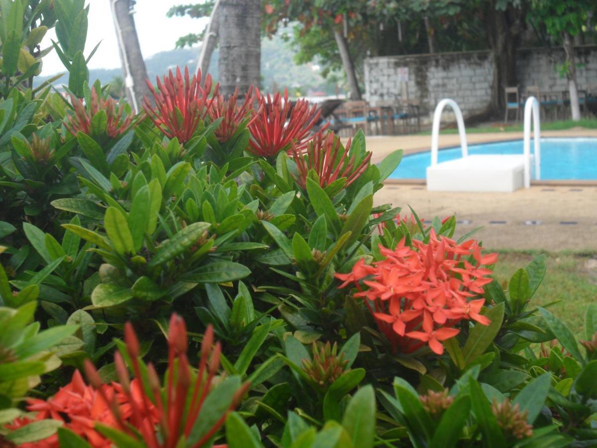 Blu' Beach Bungalows Lamai Beach  Bagian luar foto
